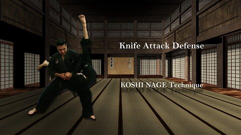 Aikido: Self Defense Techniques Against Knife Attacks 3