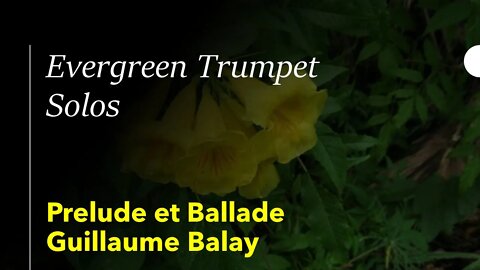 🎺🎺🎺🎺 [TRUMPET SOLO] Prelude et Ballade, Guillaume Balay