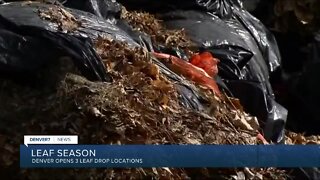 Denver opening some leaf drop sites today