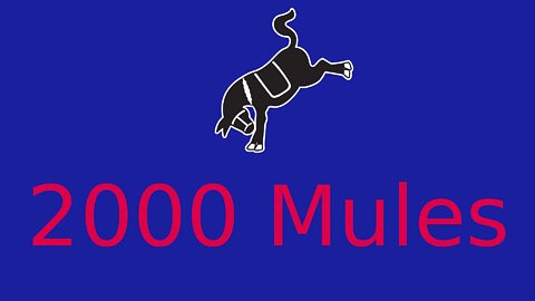2000 Mules – the smoking gun