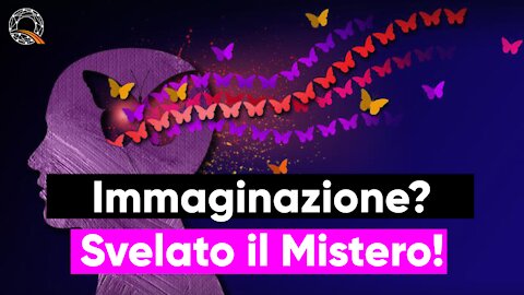 🦋 Immaginazione? Svelato il Mistero!