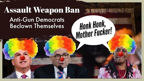 Assault Weapon Ban - Anti-Gun Democrats Beclown Themselves