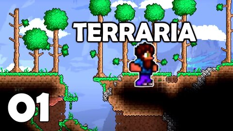 TERRARIA (vanilla survival series) Nintendo Switch | BASEMENT | Part 1 - Ep 1 (1.3.5.3)