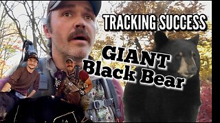 Tracking BIG BLACK BEAR in PA | Appalachian Mountains