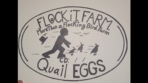 Flock it Farm: dispatching quail for freezer camp. WARNING: GRAPHIC