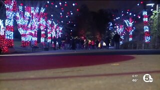 Wild Winter Lights returns to Cleveland Metroparks Zoo for 4th year