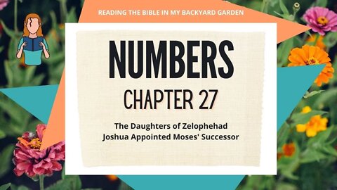 Numbers Chapter 27 | NRSV Bible Reading
