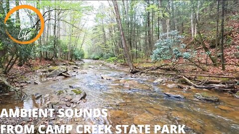 Ambient Sounds From Camp Creek State Park!