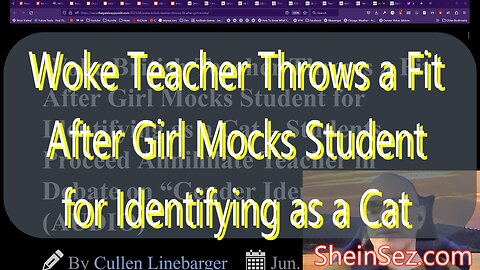 Woke Teacher Throws a Fit After Girl Mocks Student for Identifying as a Cat -SheinSez 205