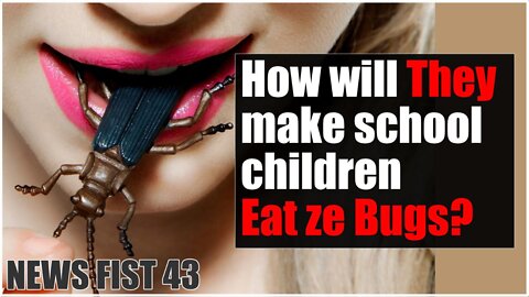 News Fist 43 - How will They make School Children Eat ze Bugs?