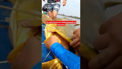 pescador pega Jaú com pacu na boca #shorts