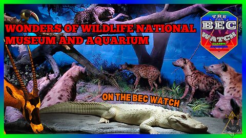 BEC Watch Entries: #30 Wonders of Wildlife National Museum and Aquarium