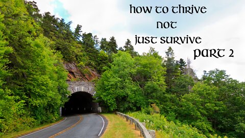 Thriving Not Just Surviving - Part 2