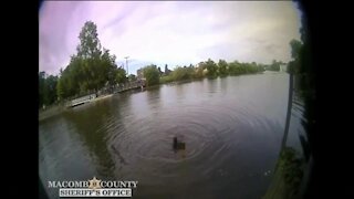 Video shows Macomb County deputies rescuing suspect who jumped in river to avoid capture