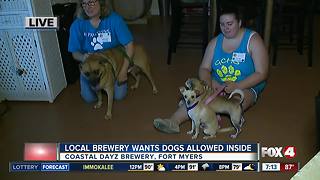 Should dogs be allowed inside Florida breweries?