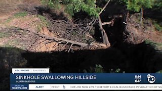 Homeowners worried about massive sinkhole in Allied Gardens