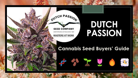 20 Best Dutch Passion Strains: Seed Buyers' Guide