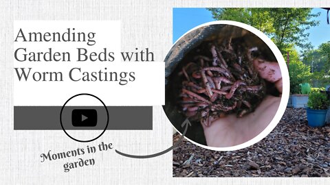 Amending Garden Beds with Worm Castings | moments in the garden