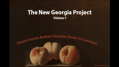Blueprint For Stealing All Future Elections: The New Georgia Project