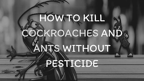 How to Kill Cockroaches and Ants Without Pesticide - Daily Needs Studio