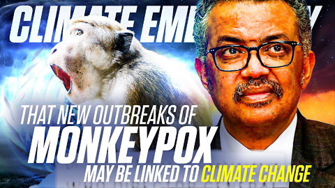 Monkeypox | World Health Organization Warns NEW Outbreaks of Monkeypox Linked to Climate Change + Weather Modification / HAARP Explained In 2 Minutes (See Show Notes)