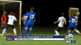 Lynn Fighting Knights Upset Palm Beach Atlantic