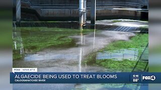 SFWMD uses innovative technology to combat blue-green algae in the Caloosahatchee River