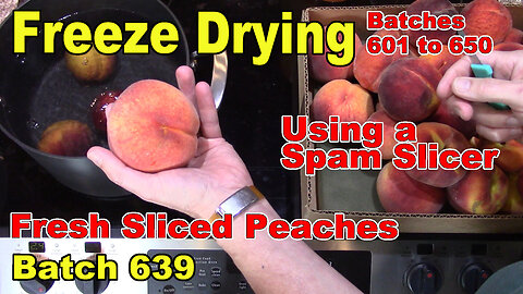 Freeze Drying More Sliced Peaches - Batch 639 - Sliced using a Spam Slicer