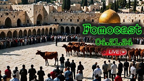3rd Temple Mount Watch; Sacrifice Eve | Slaughter of 🐑 Sheep in Ramallah | CERN