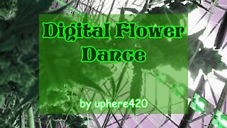 Digital Flower Dance by uphere420