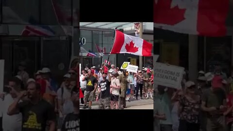 Netherlands Consulate In Solidarity With Dutch Farmers, Torontonians. Canada