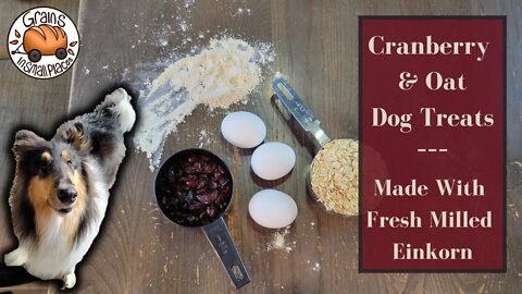 Cranberry & Oat Dog Treats Made With Fresh Milled Einkorn Flour | Healthy Dog Cookies Recipe