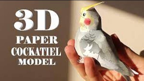 How to make a 3D cockatiel model