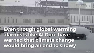 How Alligators Survive Al Gore's Global Warming