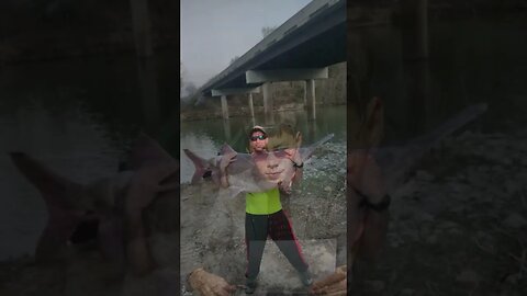Watch Arkansas man catches 102 pound paddlefish from his kayak #shorts