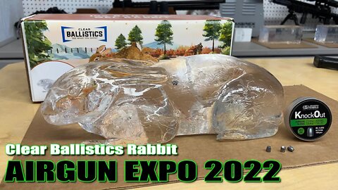 AE22 - Clear Ballistics Rabbit VS. Umarex Origin .25, ATN LTV, JSB .25 Cal Knockout MKII Slugs