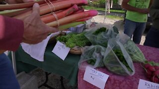 Outdoor farmers markets thrived in 2020 and now they're back
