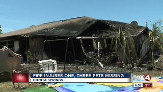Fire injures one, leaves three pets missing