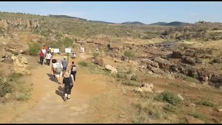 SOUTH AFRICA - Mpumalanga - The Wild Gorge swing at Oribi Gorge (Videos) (R2L)