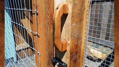 Making Wood Handles for the Chicken Run Gate