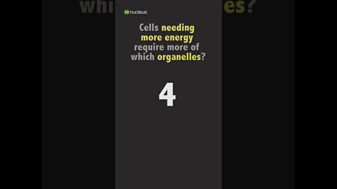 Biology Quiz: Cells needing more energy require more of which organelles?