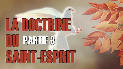 La doctrine du Saint-Esprit, partie 3 - Olivier Dubois