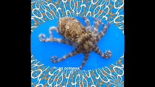 You are really an octopus: Lives holding others, drops poison! [Quotes and Poems]