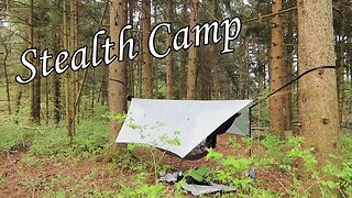 Secret Stealth Camp in the Pines on Private Property