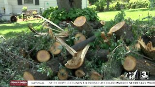 La Vista begins debris pick-up after storm