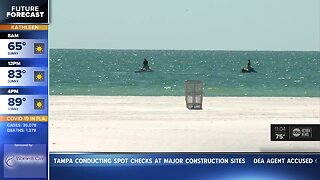 Clearwater Beach opening Monday