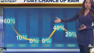 Angelica's Forecast