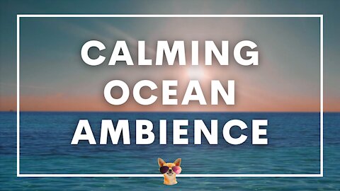 Calming Ocean Waves, Clear Skies | Ambient Sounds | Study, Relax, Meditate, Sleep