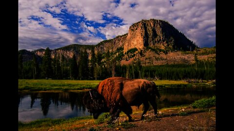 Visiting Beautiful Yellowstone National Park - September 2020