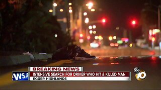 Man killed in hit-and-run in South Bay